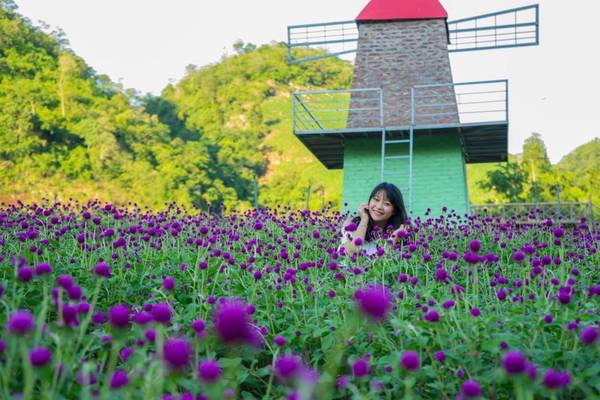 Ảnh: FB Mộc Châu Happy Land Ảnh: FB Mộc Châu Happy Land
