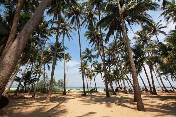 Ảnh: photosvietnam Ảnh: photosvietnam