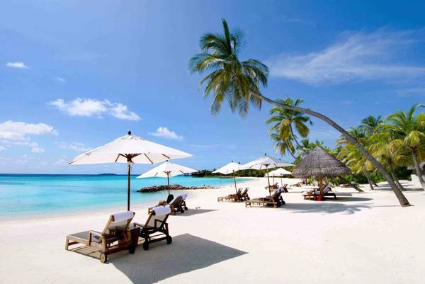 Ảnh: greendiscoveryindochina Ảnh: greendiscoveryindochina