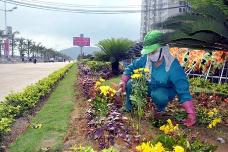 Hạ Long chỉnh trang đô thị đón Carnaval 2014. 