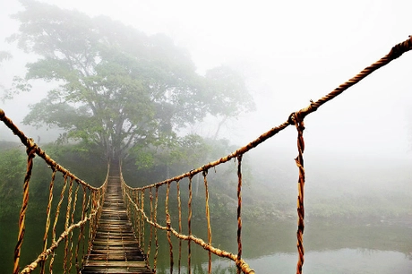 Tác phẩm mang tên 'Bridge Jungle Journey' (Cây cầu dẫn tới rừng xanh) có giá từ 139 USD, cho kích thước khoảng 1x1,3m. Ảnh: Skip Nall. Tác phẩm mang tên 'Bridge Jungle Journey' (Cây cầu dẫn tới rừng xanh) có giá từ 139 USD, cho kích thước khoảng 1x1,3m. Ảnh: Skip Nall.