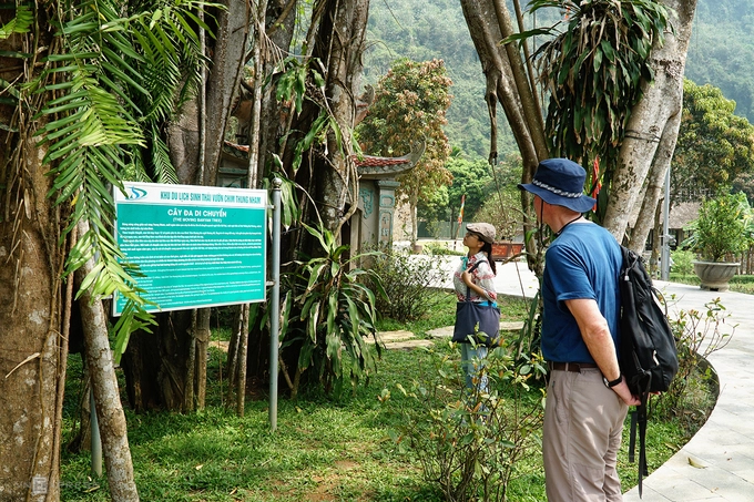 Với người dân Hoa Lư, cây đa không chỉ mang ý nghĩa tâm linh mà còn là minh chứng "sống" cho lịch sử của quê hương. Còn đối với du khách, đây là nơi tham quan hấp dẫn và kỳ bí,điểm dừng chân nên ghé đối với ai có dịp đến Ninh Bình.