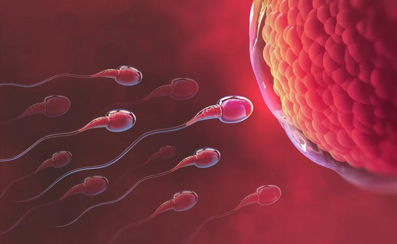 3 cách giúp bạn kiểm tra ngày rụng trứng