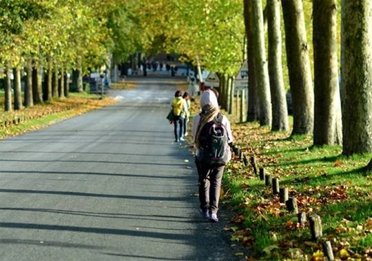 Những con đường rợp lá vàng ở vùng Chenonceaux nước Pháp.