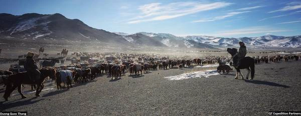 Thắng và 18 thành viên trong đoàn tham gia chuyến di cư với bộ lạc Kazakh sống cùng đại bàng ở cực Tây và lên rừng taiga đi tìm bộ lạc Tsataan chăn nuôi tuần lộc ở khu vực phía bắc vùng giáp biên giới Nga. Mông Cổ là giấc mơ không thể nào quên đối với những người từng đặt chân đến.