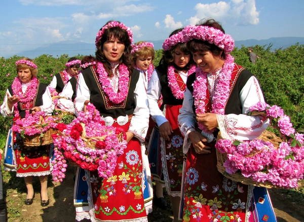 Hoa hồng mang nhiều lợi ích cho nền kinh tế Bulgaria. Ảnh: pinterest Hoa hồng mang nhiều lợi ích cho nền kinh tế Bulgaria. Ảnh: pinterest