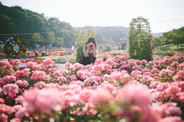 Ảnh: diadiemanuong Ảnh: diadiemanuong
