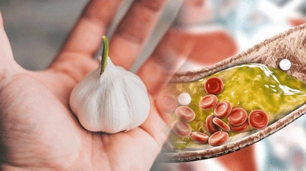chế độ ăn cho người mỡ máu