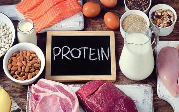 Protein