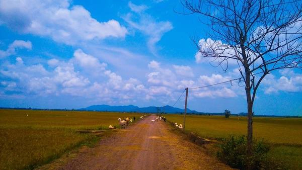 Con đường quê dẫn vào Tứ Phương Thất Đảo Con đường quê dẫn vào Tứ Phương Thất Đảo