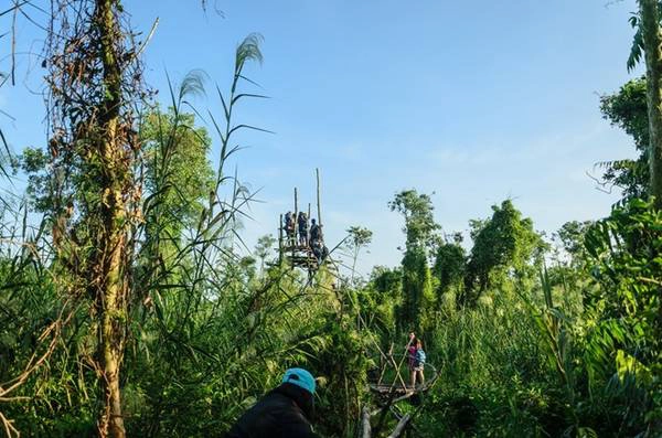 Sau hơn 200 m bám víu run rẩy trên cầu khỉ, Trảng Chim hiện ra trước mắt. Sau hơn 200 m bám víu run rẩy trên cầu khỉ, Trảng Chim hiện ra trước mắt.