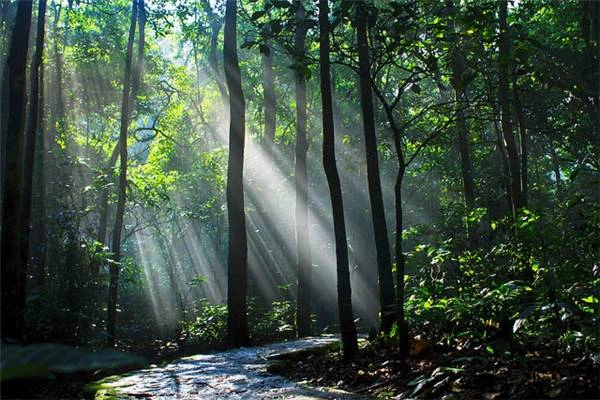 Phong cảnh tại nơi đây sẽ khiến bạn bị "mê đắm" ngay tức thì.(Ảnh: Internet) Phong cảnh tại nơi đây sẽ khiến bạn bị "mê đắm" ngay tức thì.(Ảnh: Internet)