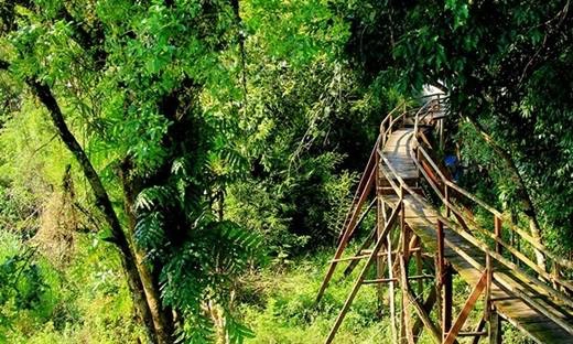 Một cây cầu gỗ nằm lẩn khuất giữa rừng cây. (Nguồn: Internet) Một cây cầu gỗ nằm lẩn khuất giữa rừng cây. (Nguồn: Internet)