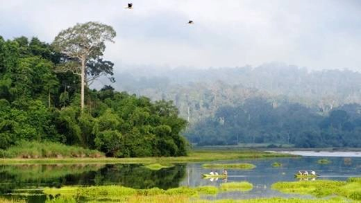 Được UNESCO công nhận là khu dự trữ sinh quyển của thế giới, Nam Cát Tiên không khiến những người yêu thiên nhiên hay đang tìm kiếm cơ hội gần gũi với thế giới tự nhiên thất vọng, bởi cảnh sắc xanh tươi với nhiều loài động thực vật đa dạng. (Nguồn: Internet) Được UNESCO công nhận là khu dự trữ sinh quyển của thế giới, Nam Cát Tiên không khiến những người yêu thiên nhiên hay đang tìm kiếm cơ hội gần gũi với thế giới tự nhiên thất vọng, bởi cảnh sắc xanh tươi với nhiều loài động thực vật đa dạng. (Nguồn: Internet)