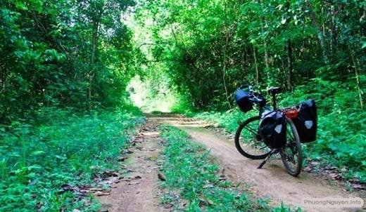 Còn gì thú vị hơn được thong dong đạp xe trên con đường đất gồ ghề, cây cối chở che trên đầu, tiếng chim rừng ríu rít không ngưng nghỉ? (Nguồn: Internet) Còn gì thú vị hơn được thong dong đạp xe trên con đường đất gồ ghề, cây cối chở che trên đầu, tiếng chim rừng ríu rít không ngưng nghỉ? (Nguồn: Internet)