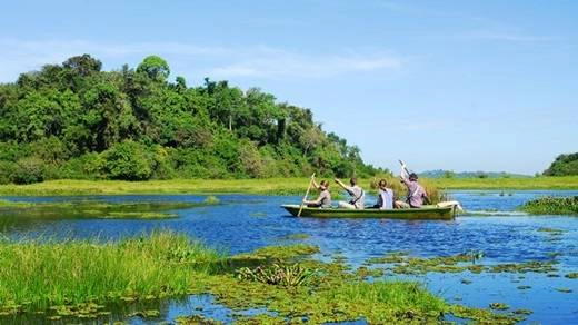 Nhưng khu hồ rộng, bạt ngàn các loài chim và cá sấu sinh sống sẽ làm bạn quên đi bao mệt mỏi trong chớp mắt. (Nguồn: Internet) Nhưng khu hồ rộng, bạt ngàn các loài chim và cá sấu sinh sống sẽ làm bạn quên đi bao mệt mỏi trong chớp mắt. (Nguồn: Internet)