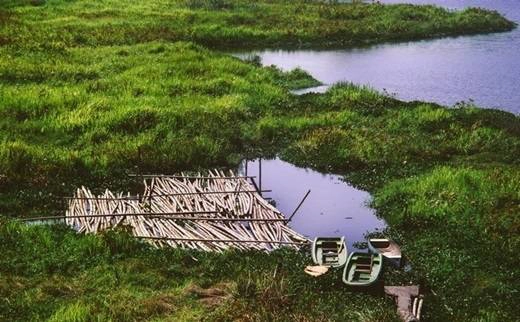 Không những được chiêm ngưỡng điệu múa mê hồn của những chú chim công, đắm mình trong khung cảnh thơ mộng, hùng vĩ của đại ngàn, bạn còn có dịp tận mắt chứng kiến những chú cá sấu hung tợn khi đang bơi thuyền trên hồ nữa. Dịch vụ thuê thuyền tham quan giá 160.000 đồng/người. Mỗi thuyền chở tối đa 3 khách. (Nguồn: Internet) Không những được chiêm ngưỡng điệu múa mê hồn của những chú chim công, đắm mình trong khung cảnh thơ mộng, hùng vĩ của đại ngàn, bạn còn có dịp tận mắt chứng kiến những chú cá sấu hung tợn khi đang bơi thuyền trên hồ nữa. Dịch vụ thuê thuyền tham quan giá 160.000 đồng/người. Mỗi thuyền chở tối đa 3 khách. (Nguồn: Internet)