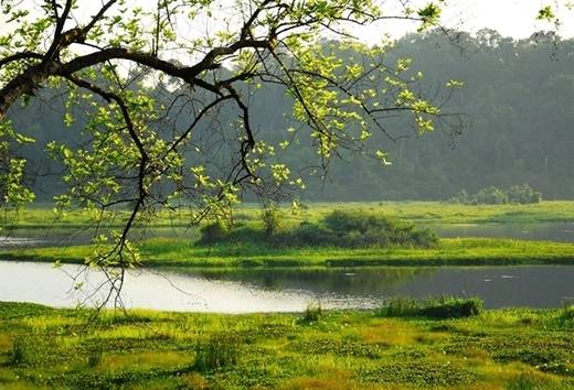 Cỏ cây xanh mướt, nắng nhẹ, mặt hồ phẳng lặng, không khí trong lành… Nam Cát Tiên hội đủ các yếu tố lí tưởng cho một chốn thiên đường để người thành phố “trốn chạy” vào dịp cuối tuần. (Nguồn: Internet) Cỏ cây xanh mướt, nắng nhẹ, mặt hồ phẳng lặng, không khí trong lành… Nam Cát Tiên hội đủ các yếu tố lí tưởng cho một chốn thiên đường để người thành phố “trốn chạy” vào dịp cuối tuần. (Nguồn: Internet)
