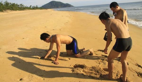 Mọi người tham gia bắt còng trên bãi biển Chân Mây - Ảnh: Lê Hồng Thái Mọi người tham gia bắt còng trên bãi biển Chân Mây - Ảnh: Lê Hồng Thái