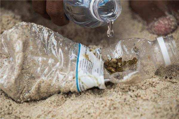 Thành phần chính của Borak được làm từ củ nghệ và gừng. Ảnh: Réhahn Croquevielle Thành phần chính của Borak được làm từ củ nghệ và gừng. Ảnh: Réhahn Croquevielle