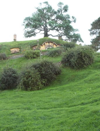 Ngôi nhà Hobbit chìm trong cỏ cây - Ảnh: M.G.