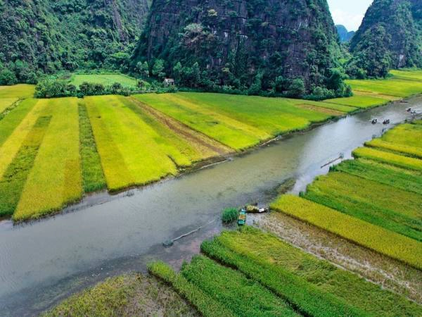 Ngồi thuyền lướt nhẹ trên mặt nước, du khách được tận hưởng không khí mát mẻ, trong lành giữa những cánh đồng lúa bao la, với cảnh đẹp mây trời.