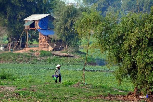 Khung cảnh yên bình bên bờ sông Đáy khiến ta có cảm giác đây là chốn làng quê thanh bình, không chút chật chội khói xe của phố thị. Dường như bên cạnh sự tĩnh lặng đó, con người cũng sống chậm rãi hơn.