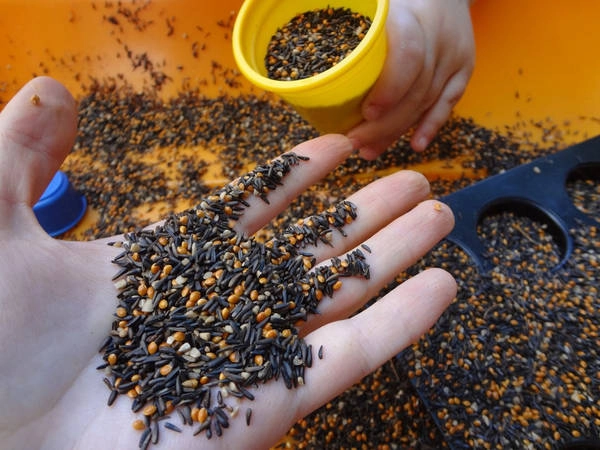 Đồ ăn cho chim: Khi đi trên đường, bạn có thể gặp tình huống một người lạ cố gắng đưa đồ ăn của chim hoặc đeo vòng vào tay và ép mua với giá "cắt cổ". Để không rơi vào tình huống khó xử, bạn đừng để ai đưa hay đeo thứ gì vào tay. Nếu gặp phải trường hợp này, khách du lịch hãy tỏ thái độ dứt khoát, kiên quyết không mua. Ảnh: Theculturetrip .