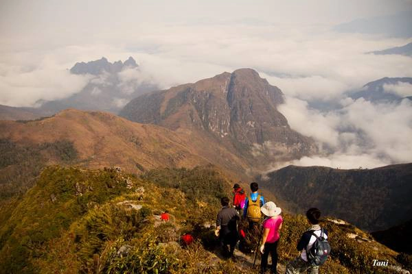 Chặng đường từ 2.800 m lên đến 3.046 m, ai nấy đều mệt và khá đuối sức, đi một chút lại nghỉ một chút. Nhưng cả đoàn cần mẫn xuyên rừng trúc, xuyên qua những cánh rừng già, bò trên những vách đá đầy rêu trơn trượt cần mẫn để đến được đỉnh cao nhất 3.046 m.