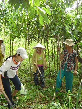 Đồng bào dân tộc Kor trồng quế dưới chân Cà Đam - Ảnh: V.Q.Cầu Đồng bào dân tộc Kor trồng quế dưới chân Cà Đam - Ảnh: V.Q.Cầu