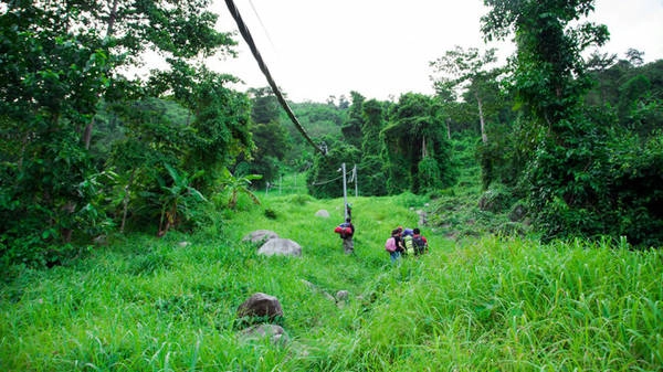 Hành trình ngập trong cỏ