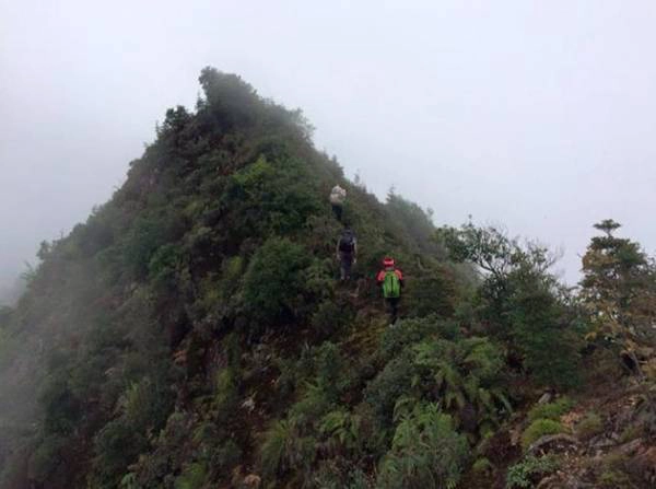 Sống khủng long Tà Xùa. Sống khủng long Tà Xùa.
