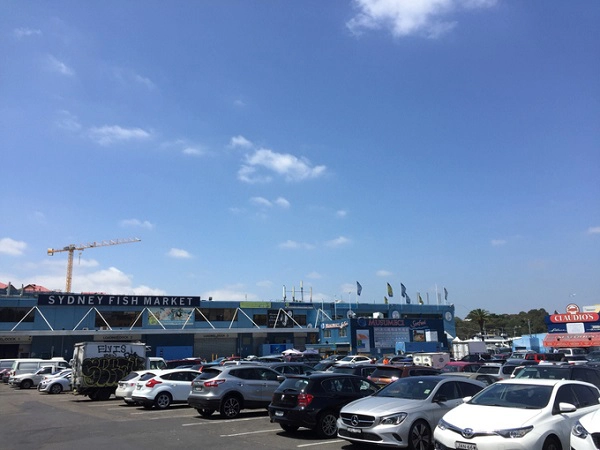 Chợ cá Sydney (SFM) nằm cách trung tâm thành phố 2 km về phía tây. Có lịch sử từ năm 1945, đây được mệnh danh là chợ cá lớn thứ ba thế giới. Chợ có cảng cá và sàn đấu giá hải sản của các mối bán buôn vào mỗi sáng hàng tuần. Chợ mở cửa từ 7h đến 16h30 với nhiều quầy bán lẻ, lớp dạy nấu ăn và nhà hàng phục vụ các món hải sản cho dân địa phương và khách du lịch. Ước tính, mỗi ngày có 50-55 tấn hải sản các loại được tiêu thụ tại chỗ và xuất đi khắp nơi trên thế giới. Tại đây có hơn 100 loại hải sản được đánh bắt trực tiếp từ Australia, New Zealand hay từ khu vực châu Á – Thái Bình Dương.
