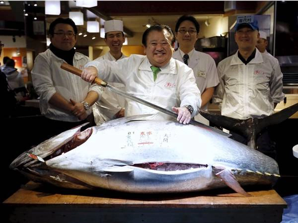 Năm nay, một con cá ngừ vây xanh nặng 200 kg được bán với giá 117.000 USD cho chuỗi cửa hàng sushi Kiyomura.