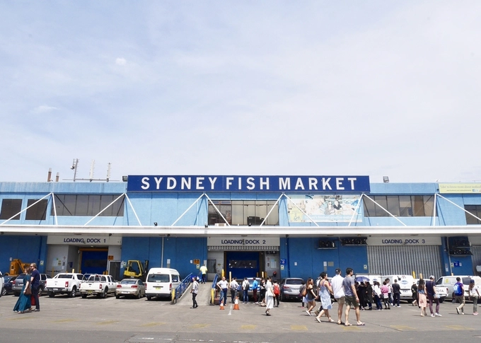 Được mệnh danh "thiên đường hải sản" ở thành phố cảng Sydney, chợ cá bên vịnh Blackwattle (Pyrmont), cách trung tâm thành phố tầm 2 km, là thị trường hải sản lớn thứ 3 trên thế giới, mỗi năm thu hút hàng triệu lượt du khách ghé thăm.