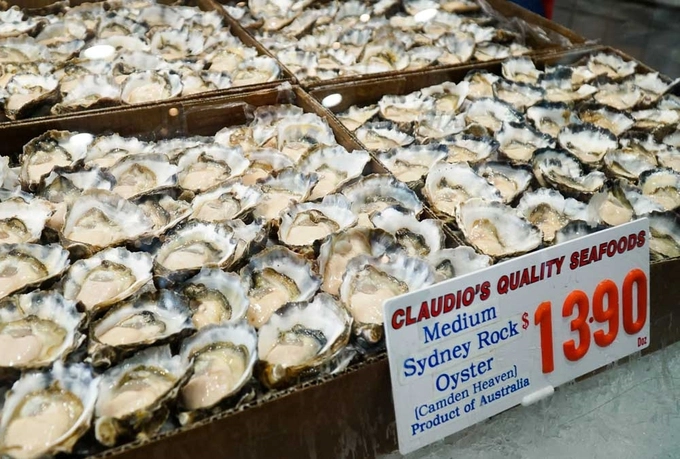 Ở chợ cá Sydney, một trong những món mà bạn không nên bỏ qua là hàu Sydney Rock - một trong sáu loại hàu ngon nhất thế giới - được bán với giá không quá đắt so với khi mua ở ngoài. Hàu Sydney không to nhưng vị béo và thịt mềm, ăn dễ ghiền.