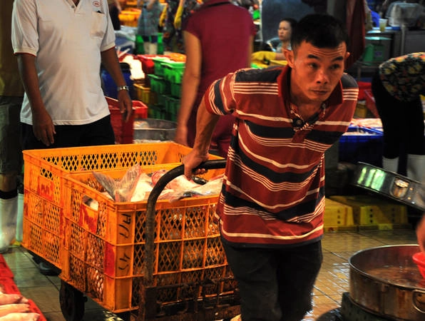 Cảnh mua bán vận chuyển tại chợ càng về sáng càng nhộn nhịp hơn. Rất nhiều công nhân chấp nhận thức đêm làm khuân vác và kéo cá thuê kiếm sống. Lương mỗi đêm hơn trăm nghìn đồng.