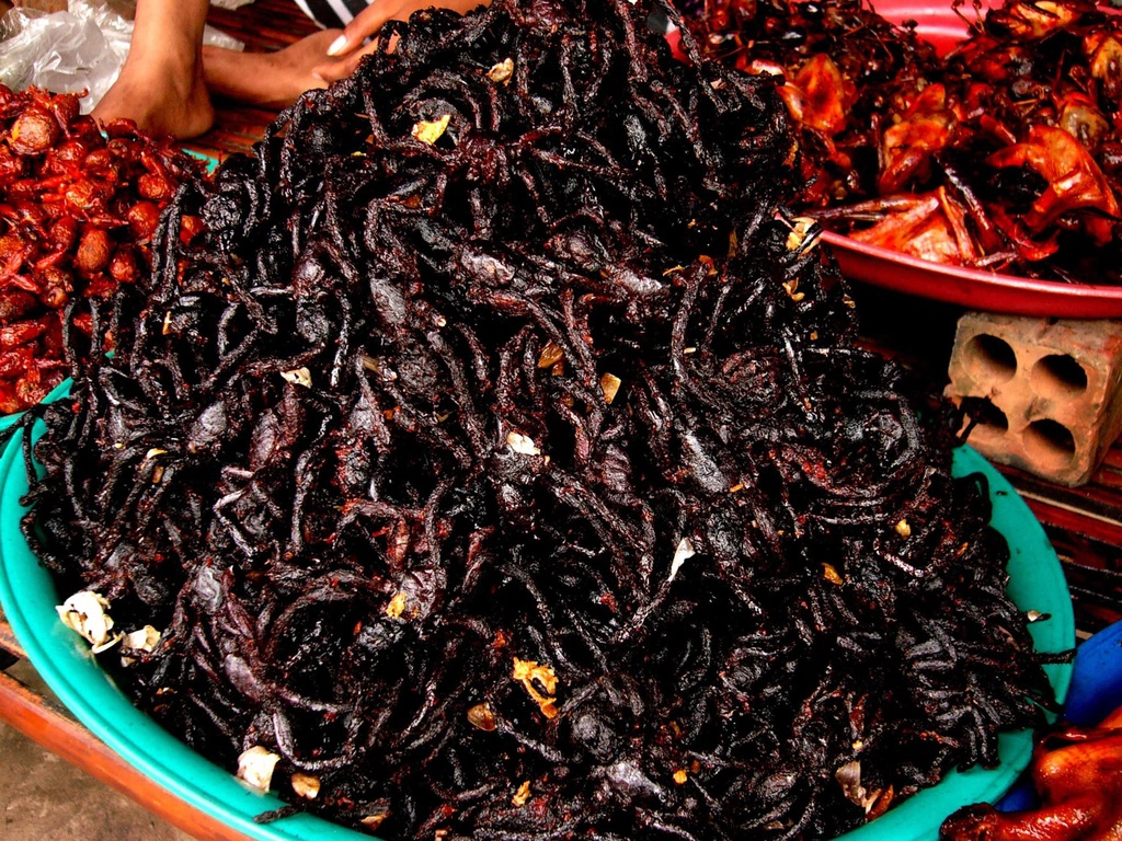 Chợ nhện Skuon, Campuchia: Chợ nhện Skuon tại thị trấn Skuon (thủ phủ huyện Cheung Prey, tỉnh Kampong Cham) là khu chợ lớn nổi tiếng thế giới. Skuon có nghĩa là "làng nhện", thu hút du khách quốc tế với món nhện chiên đặc sản, bên cạnh đó còn có các món nhện ngâm dầu ớt hay rượu gạo lên men. Ở Campuchia, nhện Tarantula được sử dụng làm thức ăn. Người ta nói rằng hương vị của Tarantula là sự kết hợp giữa thịt gà và cá. Ảnh: Dreamstime.