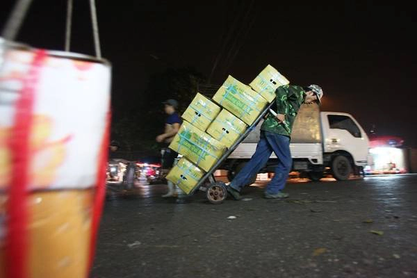 Hàng ngày có hàng nghìn lượt xe thô sơ, xe trọng tải nhỏ chuyên chở hoa quả đi các nơi trong thành phố Hà Nội và một số tỉnh lân cận. Hàng ngày có hàng nghìn lượt xe thô sơ, xe trọng tải nhỏ chuyên chở hoa quả đi các nơi trong thành phố Hà Nội và một số tỉnh lân cận.