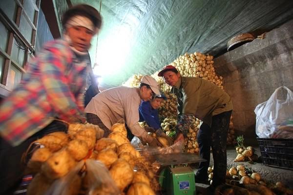 Người bán hàng tại chợ Long Biên đến từ các tỉnh giáp Hà Nội như: Bắc Giang, Bắc Ninh, Hà Nam, Phú Thọ…và cả một số huyện ngoại thành như: Gia Lâm, Thanh Trì, Đông Anh, Mỹ Đức, Chương Mỹ… Người bán hàng tại chợ Long Biên đến từ các tỉnh giáp Hà Nội như: Bắc Giang, Bắc Ninh, Hà Nam, Phú Thọ…và cả một số huyện ngoại thành như: Gia Lâm, Thanh Trì, Đông Anh, Mỹ Đức, Chương Mỹ…