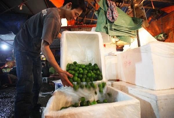 Mặt hàng nông sản rất đa dạng và được chọn lọc kỹ lưỡng trước khi về đến chợ. Mặt hàng nông sản rất đa dạng và được chọn lọc kỹ lưỡng trước khi về đến chợ.