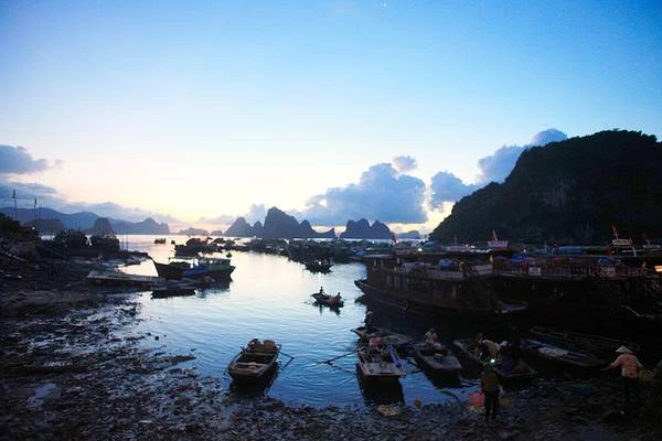 Du khách đi Cô Tô, Quan Lạn thường lên tàu từ cảng Cái Rồng, được hình thành trên cầu tàu bằng bê tông dài 108 m, rộng 8 m. Đây là nơi neo đậu của tàu khai thác thủy hải sản, tàu vận chuyển hàng hoá, tàu làm dịch vụ và tàu vận tải hành khách. Nhưng Cái Rồng vẫn được nhắc đến là một cảng cá, nơi có những loài hải sản tươi sống, đặc trưng ngon nhất của vùng biển miền bắc. Du khách đi Cô Tô, Quan Lạn thường lên tàu từ cảng Cái Rồng, được hình thành trên cầu tàu bằng bê tông dài 108 m, rộng 8 m. Đây là nơi neo đậu của tàu khai thác thủy hải sản, tàu vận chuyển hàng hoá, tàu làm dịch vụ và tàu vận tải hành khách. Nhưng Cái Rồng vẫn được nhắc đến là một cảng cá, nơi có những loài hải sản tươi sống, đặc trưng ngon nhất của vùng biển miền bắc.
