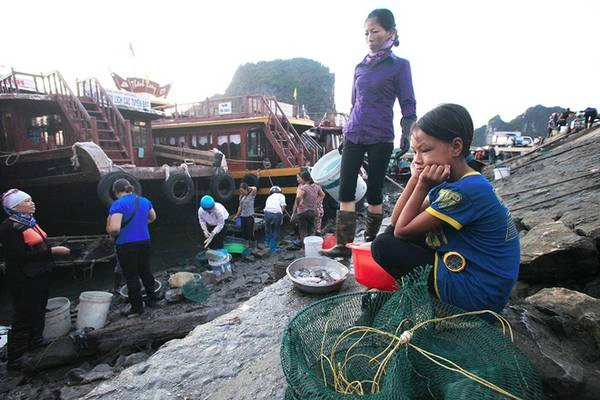 Nguyễn Thị Trà, 12 tuổi (Hà Nam) đang trong thời gian nghỉ hè nên theo mẹ tới Vân Đồn, Quảng Ninh để buôn hải sản. Nguyễn Thị Trà, 12 tuổi (Hà Nam) đang trong thời gian nghỉ hè nên theo mẹ tới Vân Đồn, Quảng Ninh để buôn hải sản.