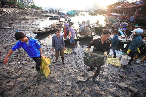 Nguồn hải sản ở đây tươi sống, bắt từ những bè nuôi cách đất liền không xa, hoặc các tàu đánh bắt đêm. Cảng cũng là nơi neo đậu phương tiện của ngư dân sau mỗi chuyến ra khơi đánh bắt thủy sản trở về. Nguồn hải sản ở đây tươi sống, bắt từ những bè nuôi cách đất liền không xa, hoặc các tàu đánh bắt đêm. Cảng cũng là nơi neo đậu phương tiện của ngư dân sau mỗi chuyến ra khơi đánh bắt thủy sản trở về.