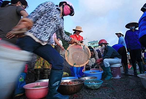 Trên con đường dài khoảng trên 100 m, người mua kẻ bán chen chúc, huyên náo. Trên con đường dài khoảng trên 100 m, người mua kẻ bán chen chúc, huyên náo.