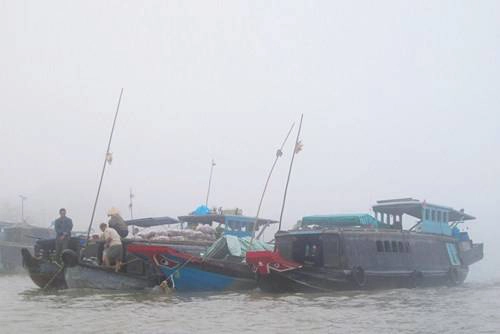 Chợ nổi Cái Răng bắt đầu từ lúc trời còn mờ sương