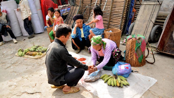  Một nải chuối và ít lạc, cũng xuống chợ