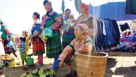 Bán của nhà trồng. Bán của nhà trồng.