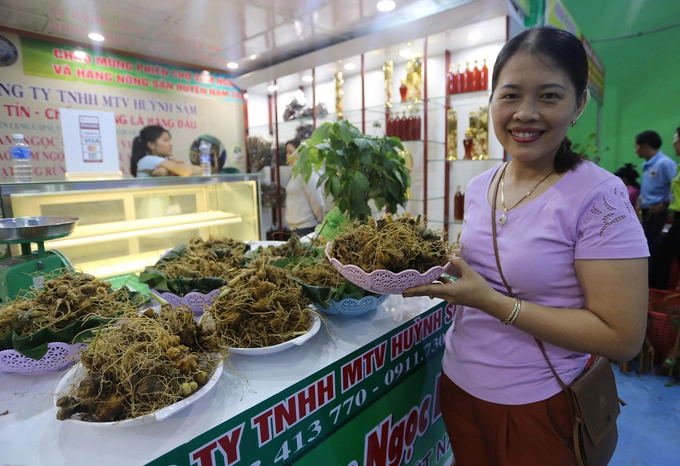 Sâm bán ở chợ có hai loại, một loại để cả nguyên cây, củ, rễ và loại chỉ còn củ, rễ.