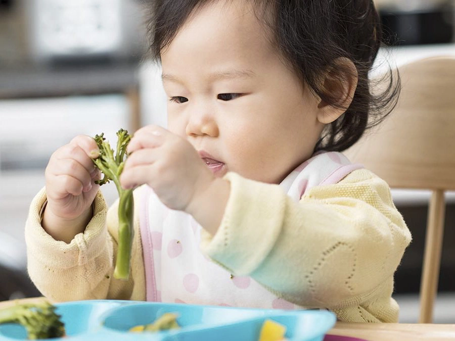 Cho trẻ ăn dặm ngày mấy lần